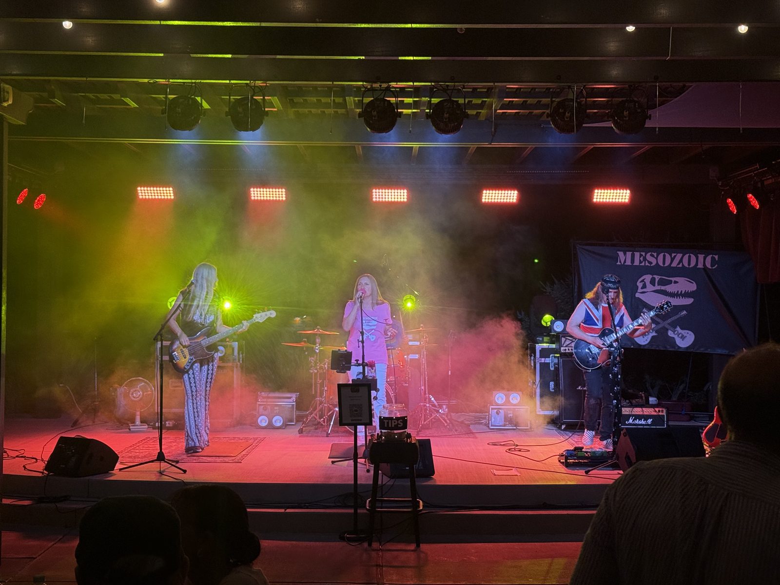 Band Mesozoic performing on the SUMAC stage under green and red lighting