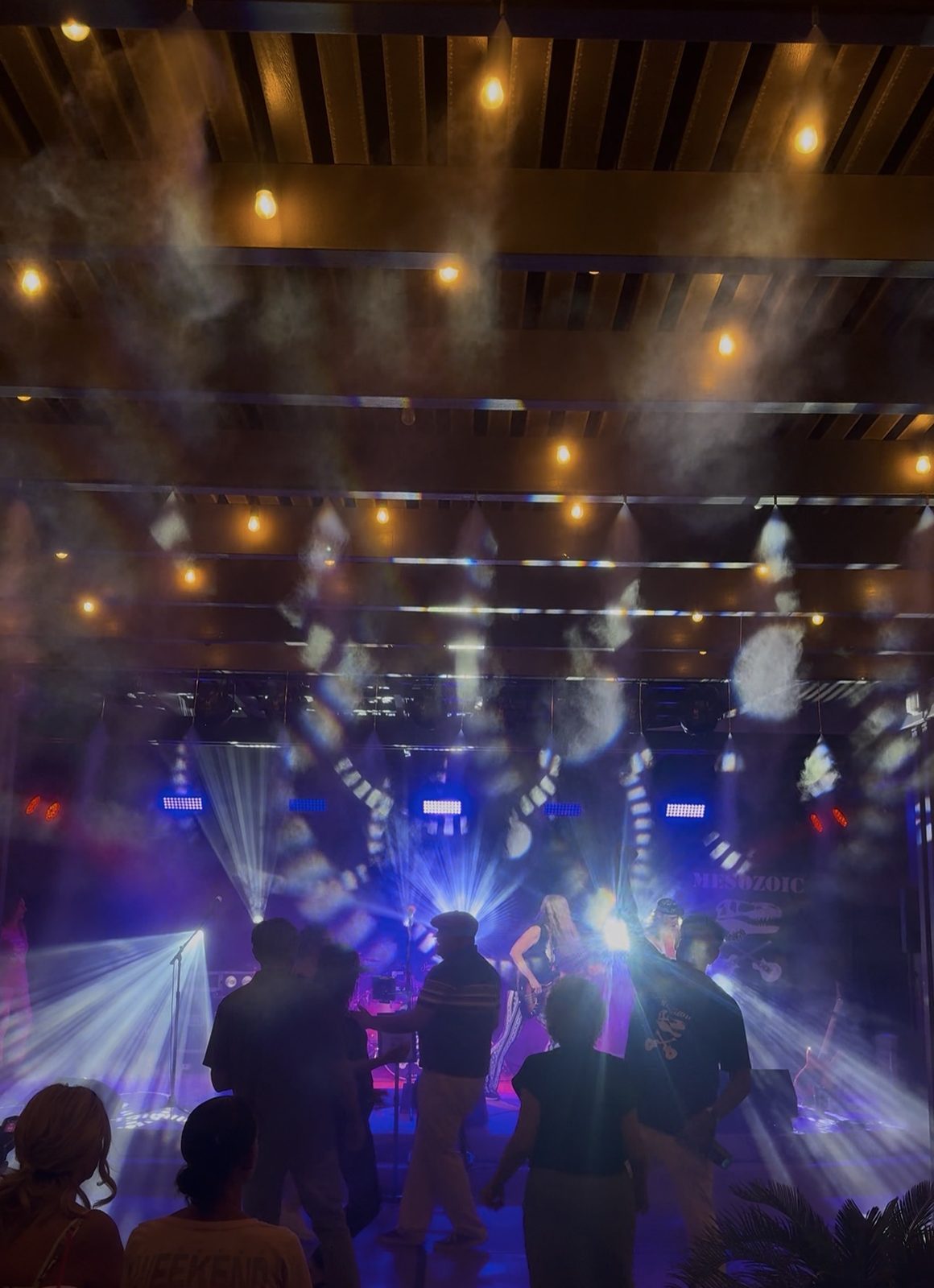 Band Mesozoic performing under blue lighting as the crowd looks on
